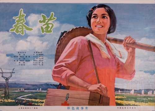 福井工業大学 Architecture Degree Certificate